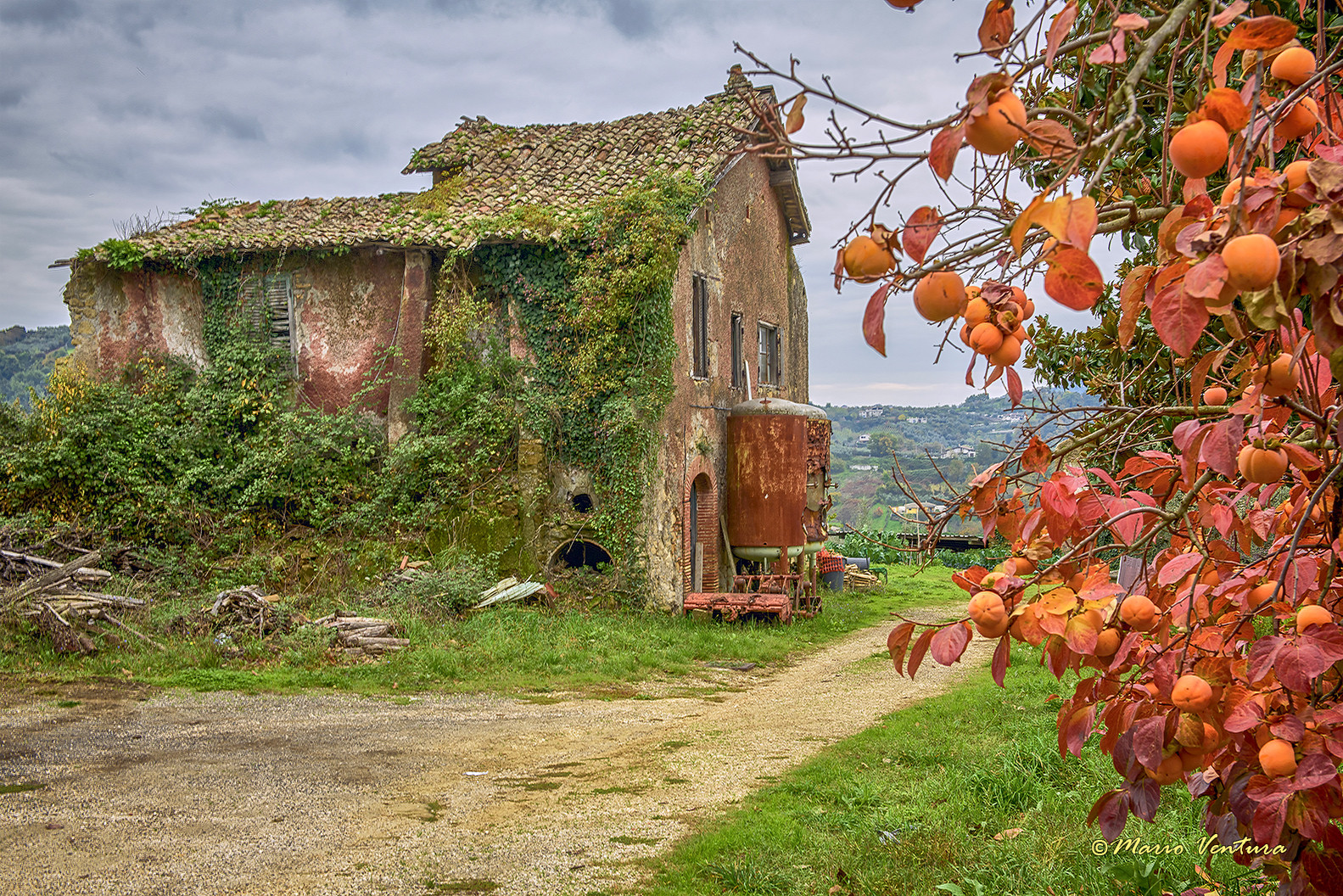 l'autunno della vecchia casa