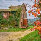 l'autunno della vecchia casa