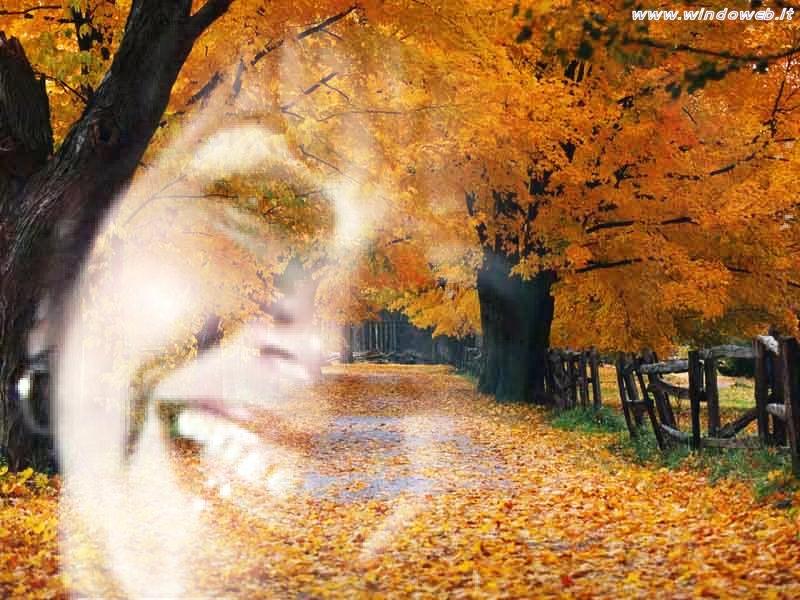 l'autunno della vita