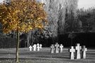 L'Autunno della vita di foto Marino 