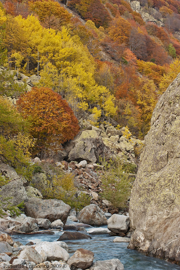 L'autunno e i suoi caldi colori