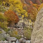 L'autunno e i suoi caldi colori