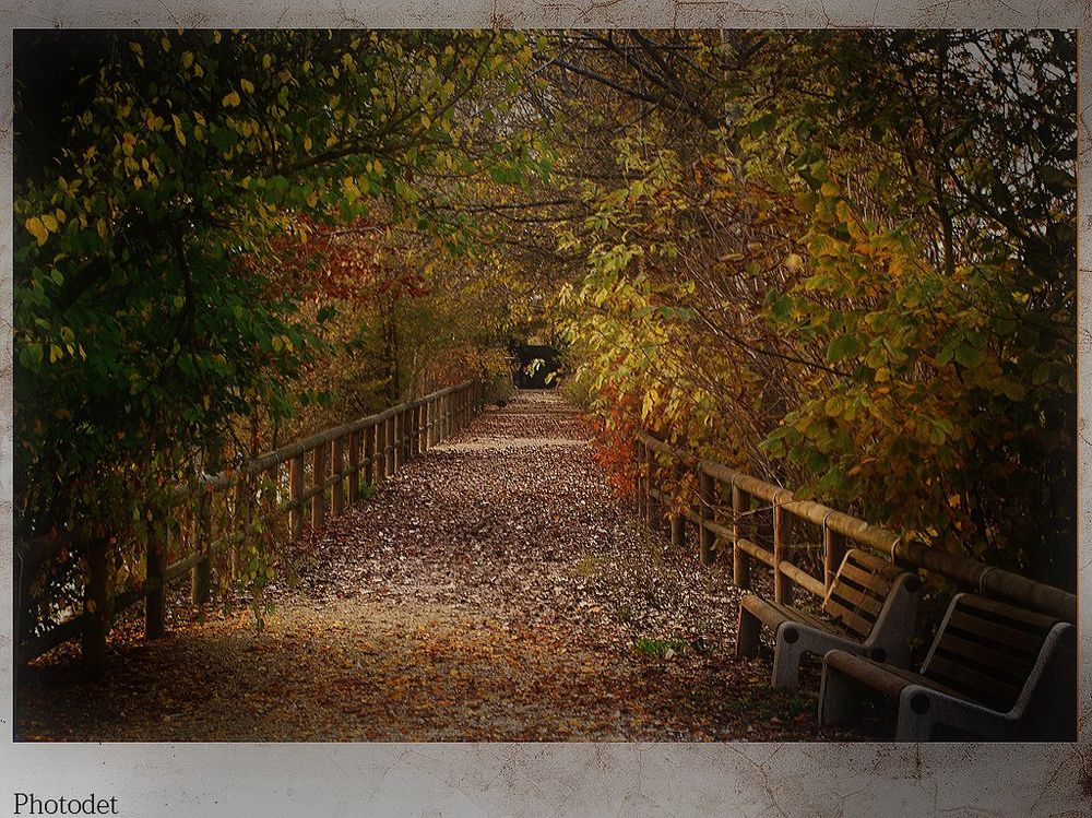 L'autunno e i suoi colori