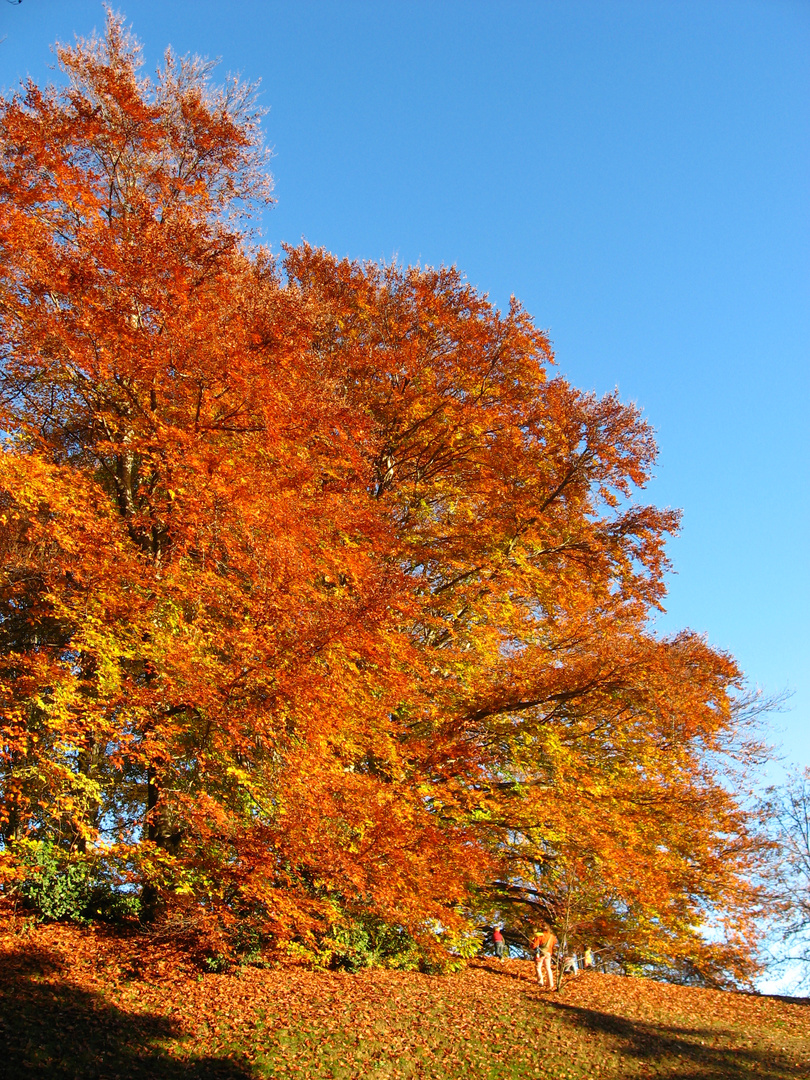 l'autunno