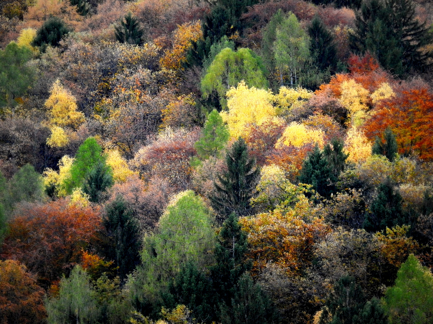 L'autunno sulle Alpi