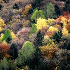 L'autunno sulle Alpi