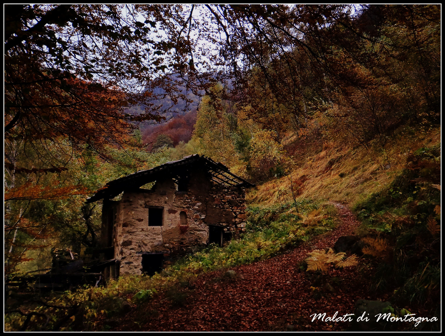 l'autunno...una sinfonia di colori