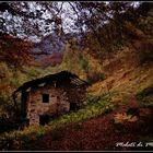 l'autunno...una sinfonia di colori