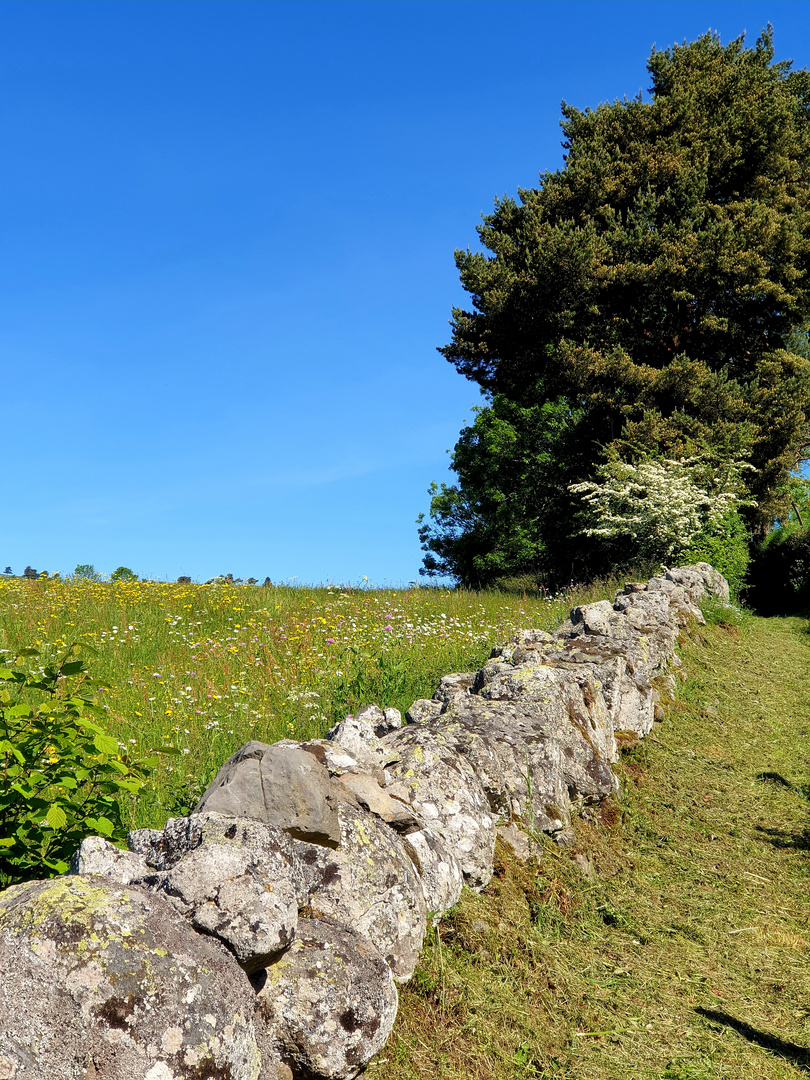 L'Auvergne simplement 