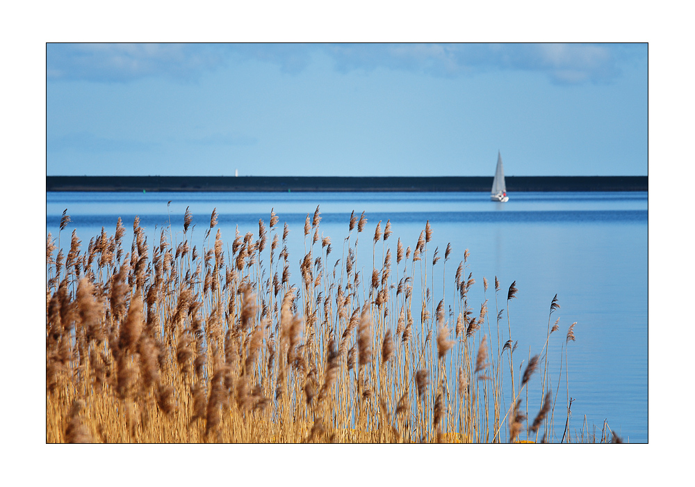 Lauwersmeer