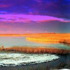 Lauwersmeer (netherlands)