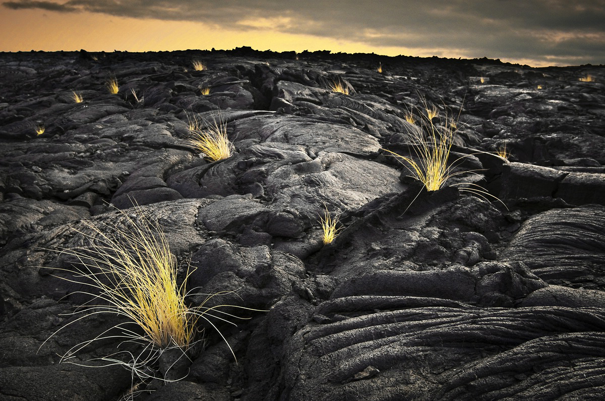 Lava and Grass