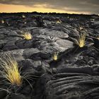 Lava and Grass