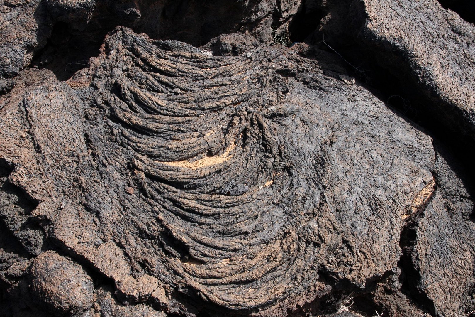 Lava cordada cerca de la Fundación Manrique en Tahíche (Lanzarote)