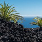 lava en frente de dos, tres palmeras junto al mar (Lava vor zwei, drei Palmen am Meer)