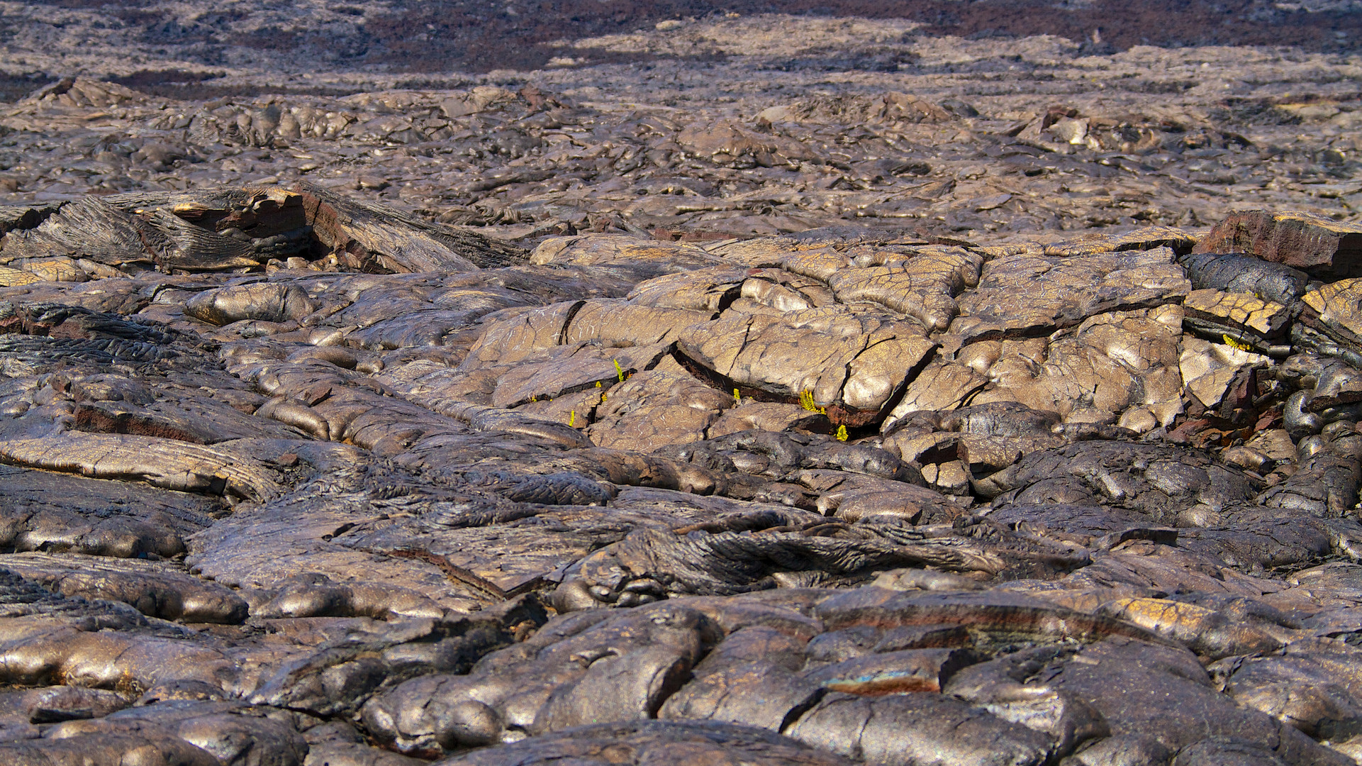 Lava field