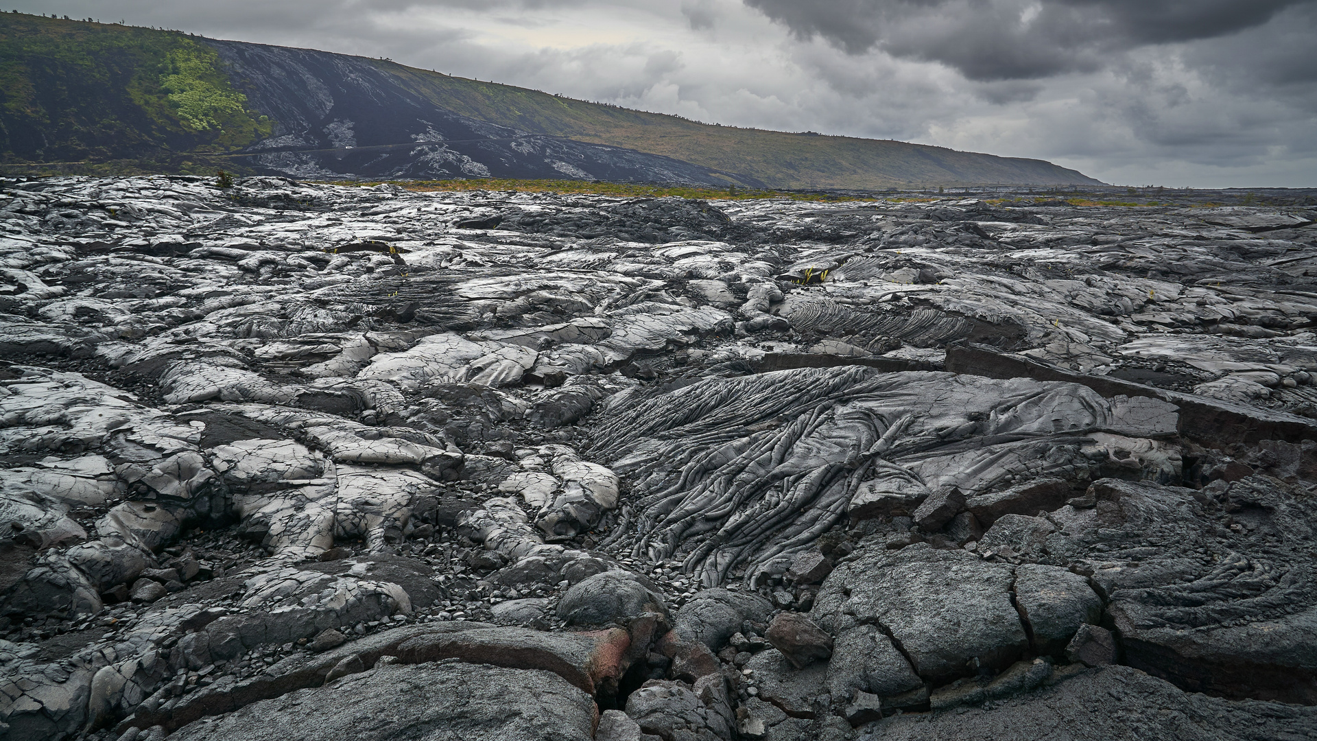 Lava field // Big Island - Hawaii 