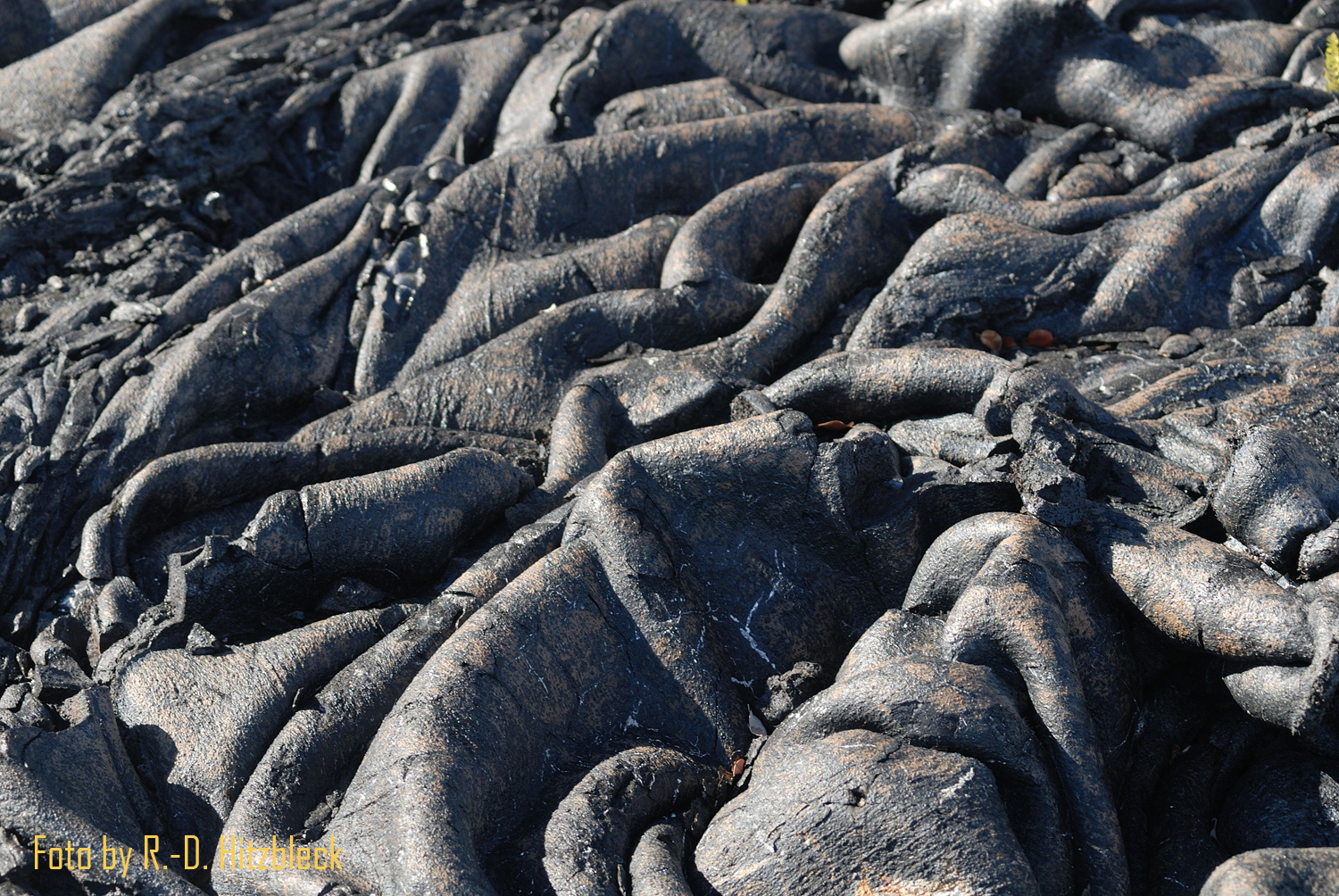 Lava-Formation an der Küste von Big Island