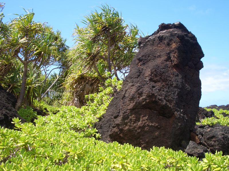 Lava-Head Wai`anapanapa State Park, Maui