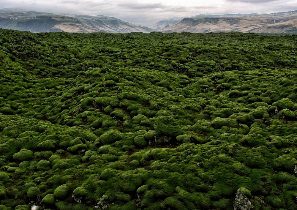 Lava in Grün