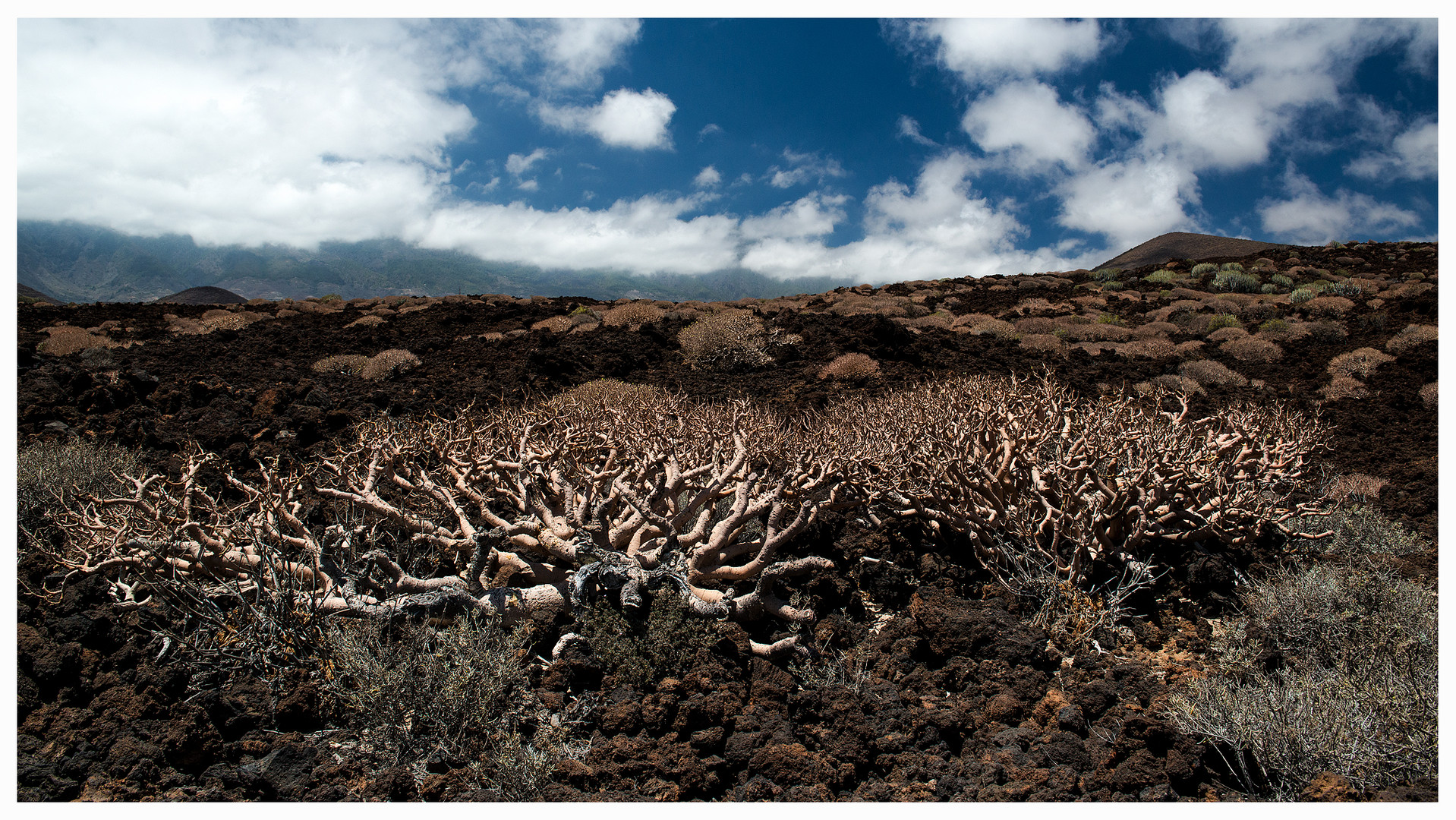 Lava Landschaft