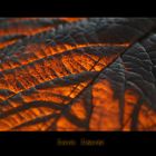 Lava Leaves