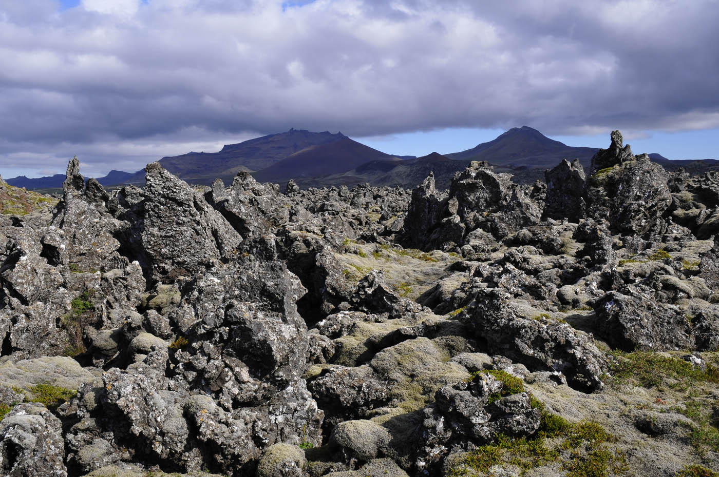 Lavafeld auf Snæfellsnes