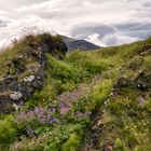 Lavafeld Búðahraun