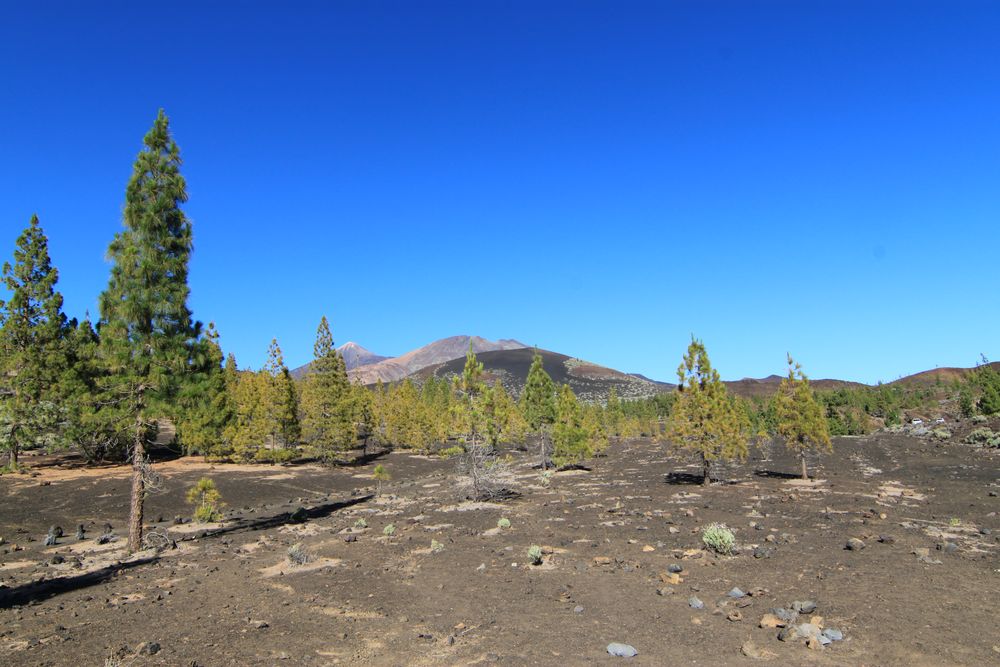 Lavafeld vor dem Vulkan