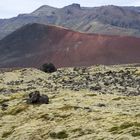 Lavafelder Bersekerhraun bei Stikkishólmur