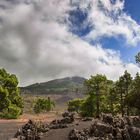 Lavafelder in La Palma