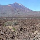 Lavafelder und Teide - Teneriffa 360 Grad Panorama