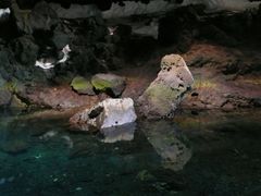 Lavahöhle auf Lanzarote mit weißen Krebsen (2008)