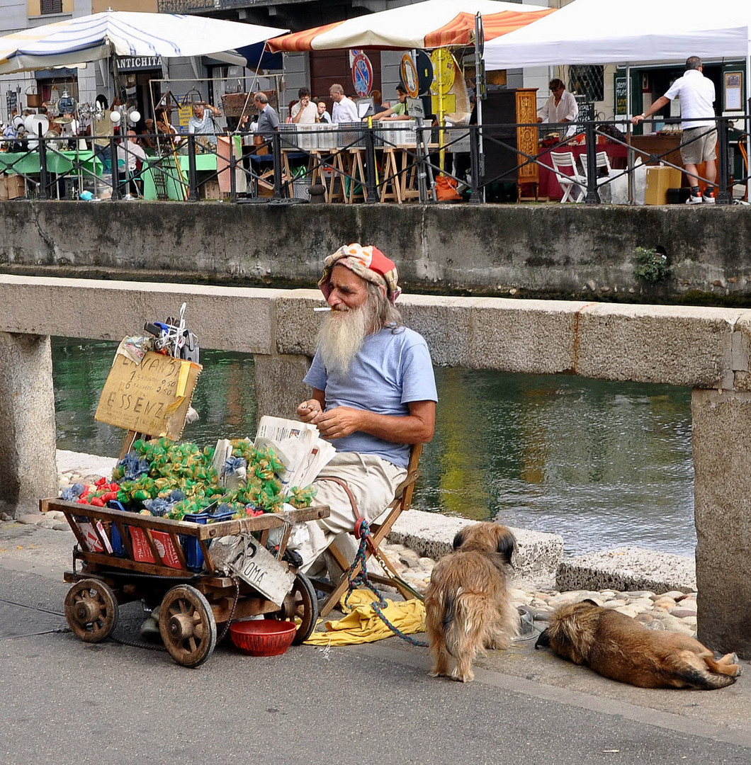 Lavande ed essenze sul Naviglio