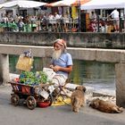 Lavande ed essenze sul Naviglio