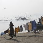 Lavando la ropa en el río ganges