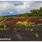 Lavarestbestände bei Kaimu auf Big Hawaii