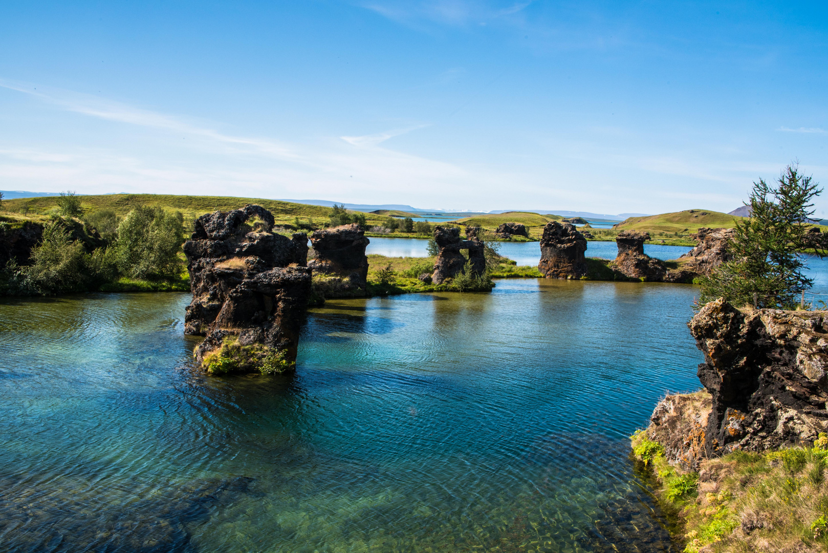 Lavareste am Myvatn/Island