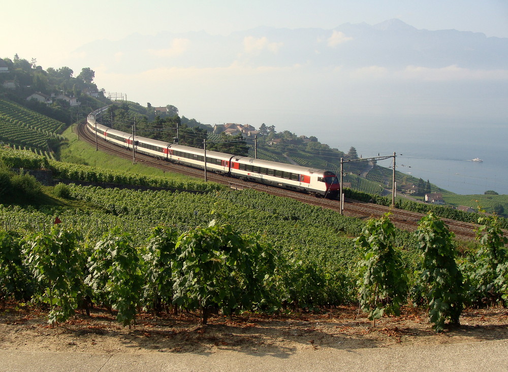 Lavaux. 04