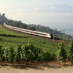 Lavaux. 04