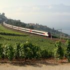 Lavaux. 04