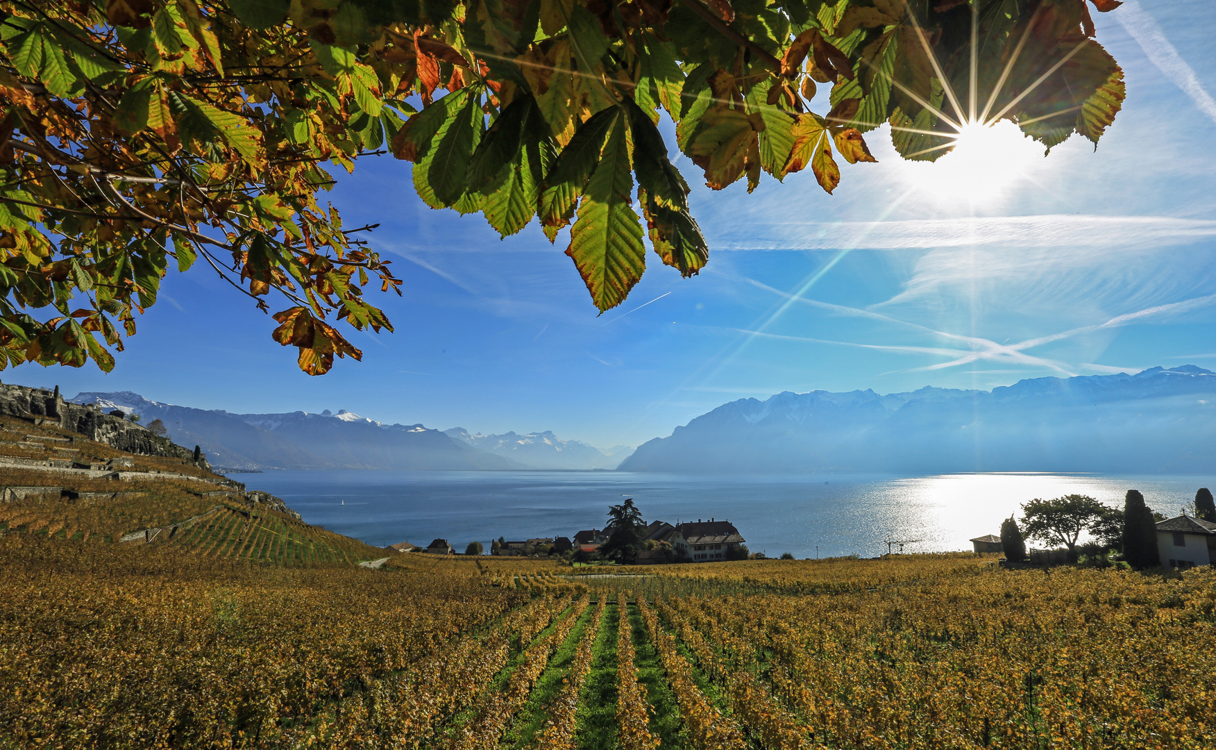 Lavaux (1)