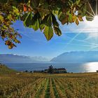 Lavaux (1)