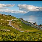 Lavaux