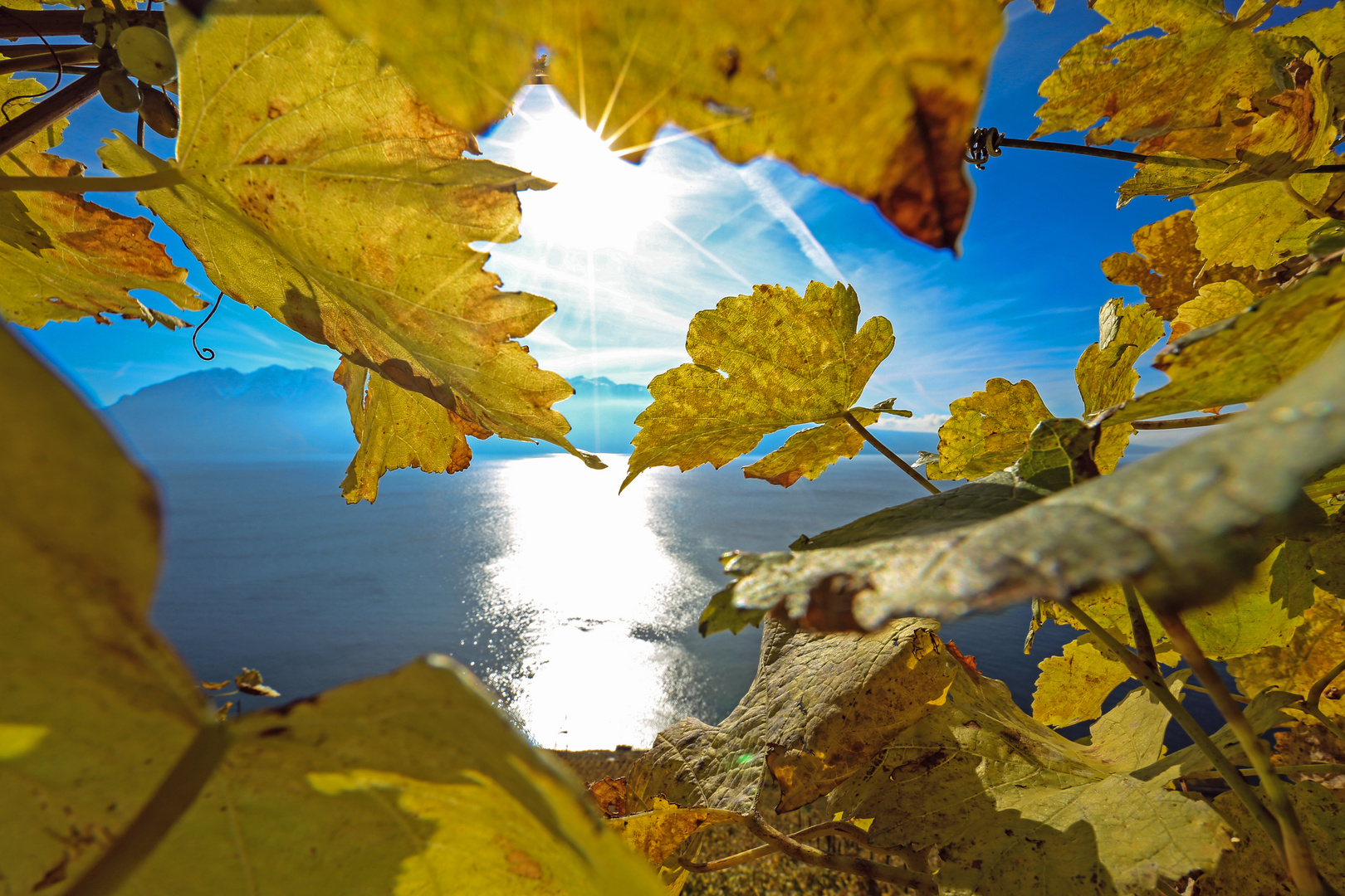 Lavaux (7)