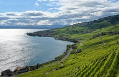 Lavaux