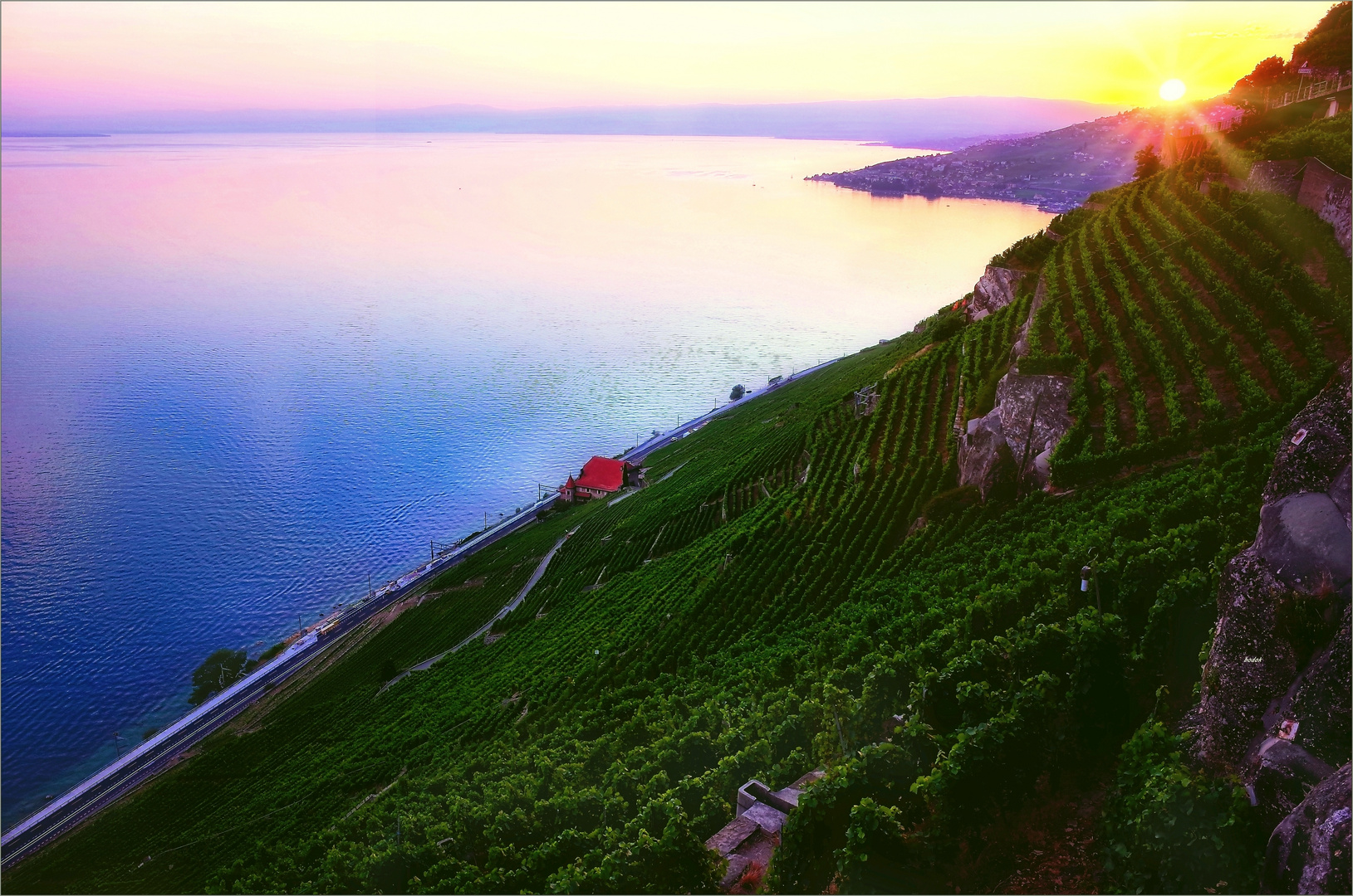 Lavaux 