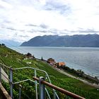 Lavaux