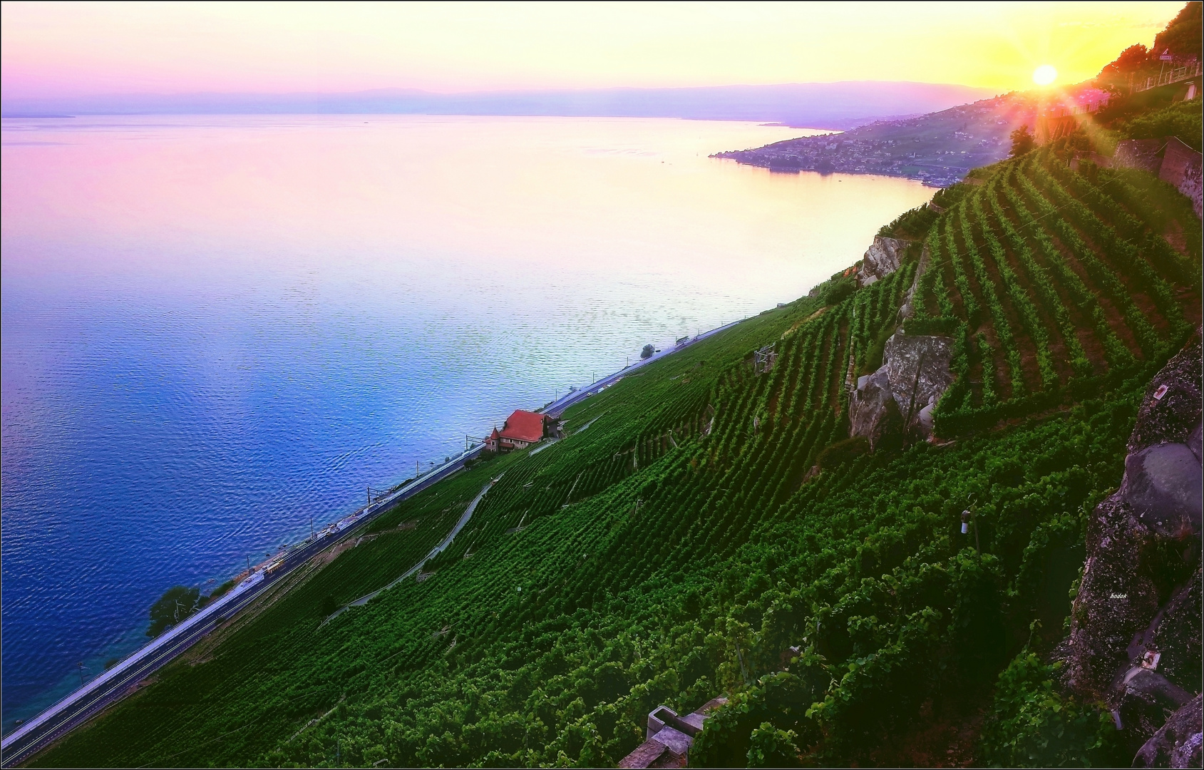  Lavaux