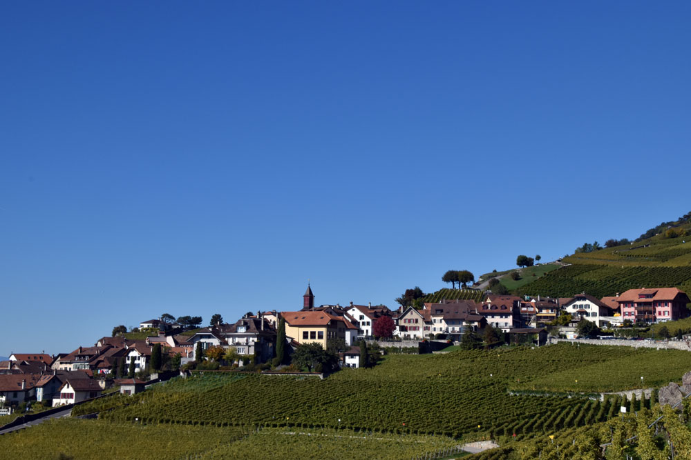 Lavaux